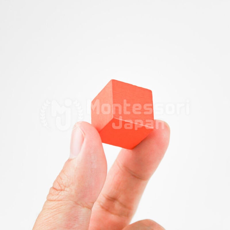 木のおもちゃ 知育玩具 キューブブロック | Montessori Japan