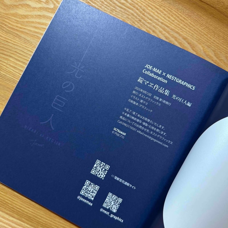 光の巨人 錠マヱ作品集 | NEST+WEB SHOP