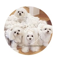 専用ページです