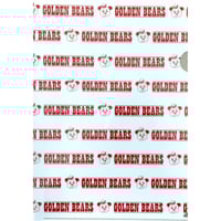 GOLDEN BEARS 　クリアーファイル　（5枚セット）