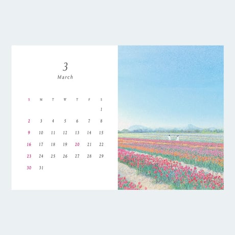 景色の卓上カレンダー　2025年　picnic