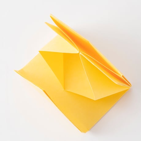 完全防水紙の CARD HOLDER