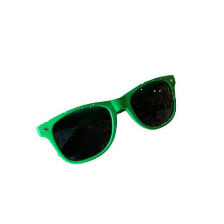 ANTIHERO <PIGEON SUNGLASS>