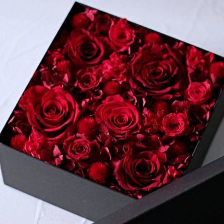 ダブル【新品未開封】Rady　希少♡ダマスクフラワーサマーケット　M00225 ダブルRady希少♡ダマスクフラワーサマーケット M00225