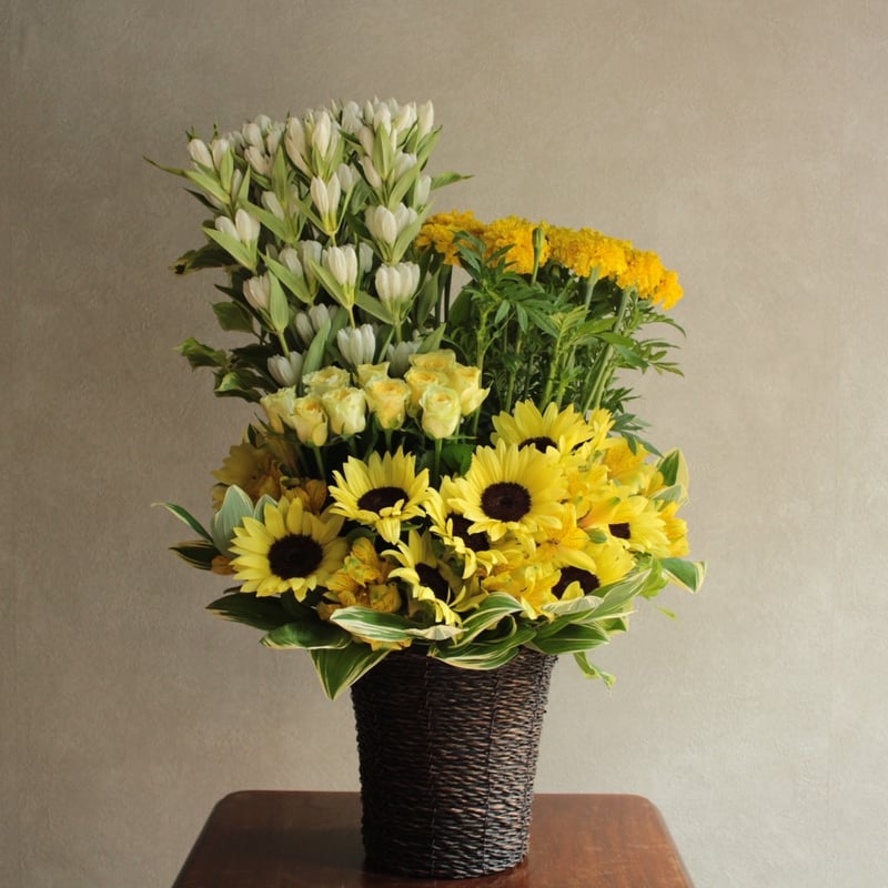 全国発送専用】アレンジメント（Mサイズ） | MAKOTOOKUDOMI