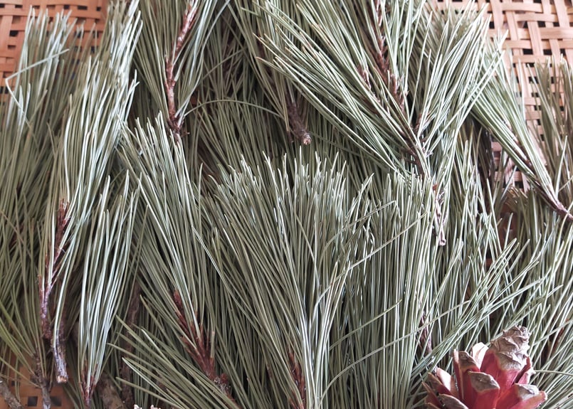 乾燥松葉 | 赤松くらし