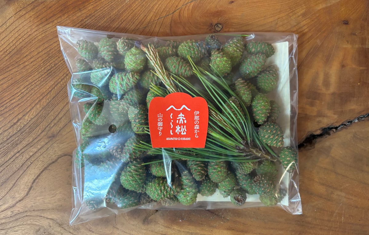 青松ぼっくり【期間、数量限定】 | 赤松くらし