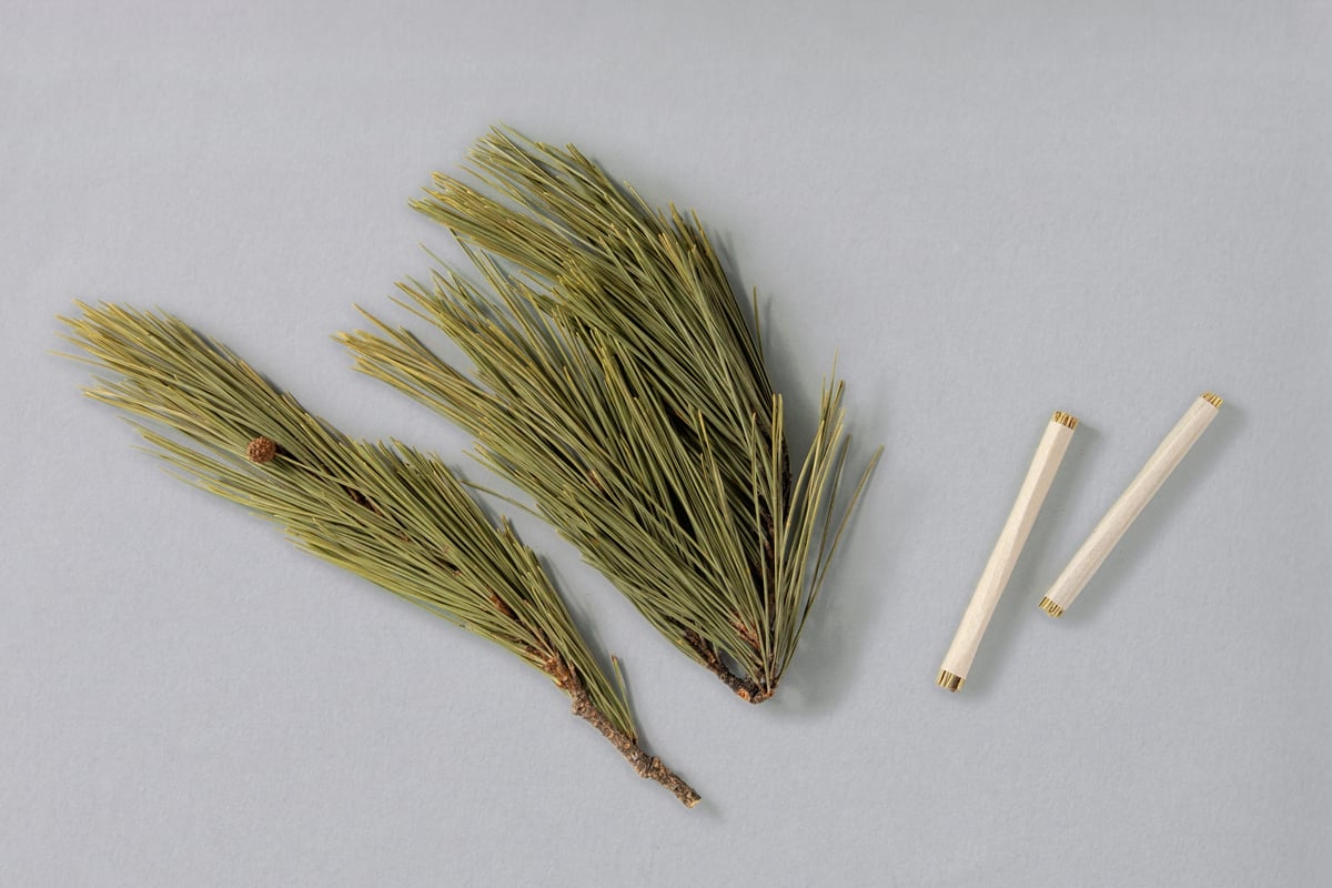 完売　天然赤松【天然松葉入浴剤＊松葉風呂】乾燥松葉/季節の変わり目にぜひ/8袋！ 森の湯 ＜アカマツ＞（入浴剤） | 赤松くらし