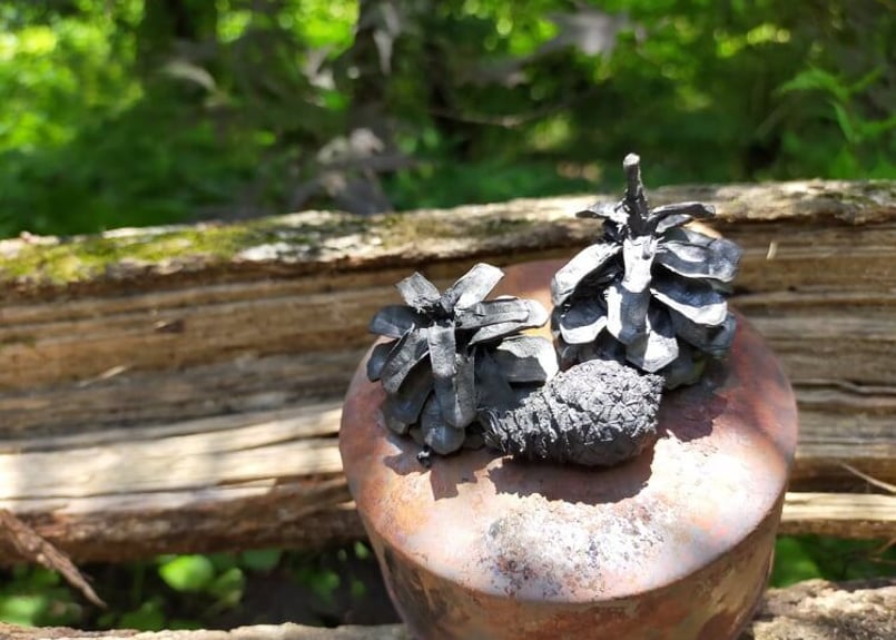 赤松炭粉 100g | 赤松くらし