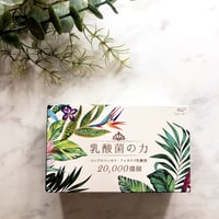 乳酸菌の力