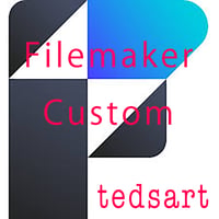 Filemaker  Custom