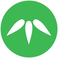 Bamboo Plan