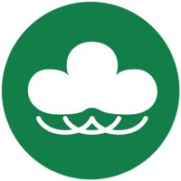 Pine Plan