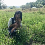 ホーリーバジルと音楽のお店                      Megumi  Garden