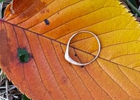 《Geo-Collection》 Photon -Sparkle (RING) K10