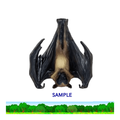 (専用)ダイオウコウモリ ファイル:オリイオオコウモリの飛翔.jpg - Wikipedia