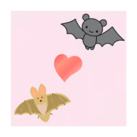 ワンコインからの支援♥️コウモリ保護活動への寄付