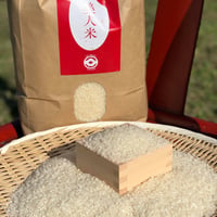 【定期便 / 年4回発送】令和７年産：コシヒカリ【美人米】10kg　千葉県神崎町産