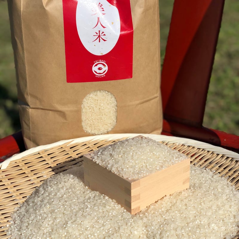 有機肥料米 10kg 令和6年産 コシヒカリ 千葉県の美味しい減農薬米