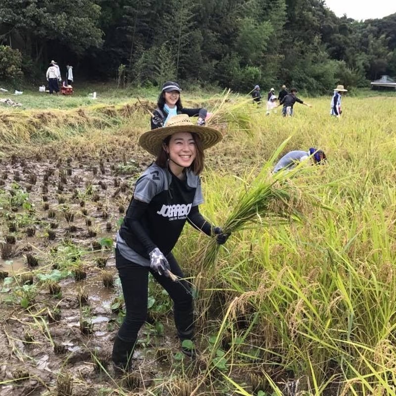 新米)令和6年産:コシヒカリ【美人米】玄米20kg 千葉県神崎町 新米)令和6年産:コシヒカリ【美人米】玄米20kg 千葉県神崎町