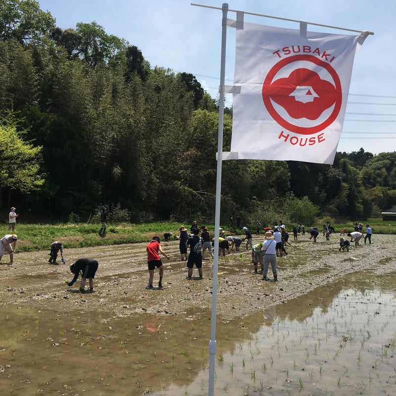新米)令和6年産:コシヒカリ【美人米】玄米5kg 千葉県神崎町産 新米)令和6年産:コシヒカリ【美人米】玄米5kg 千葉県神崎町産