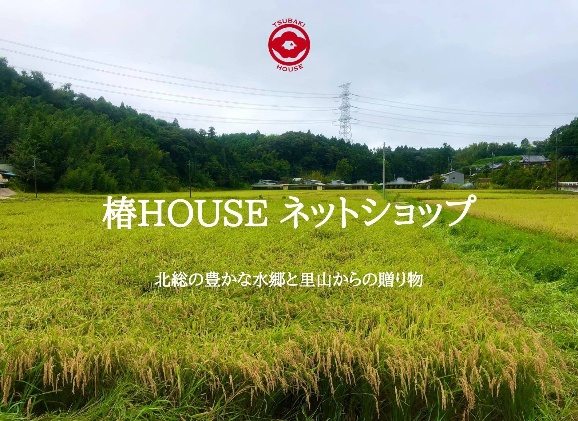 椿HOUSE ネットショップ