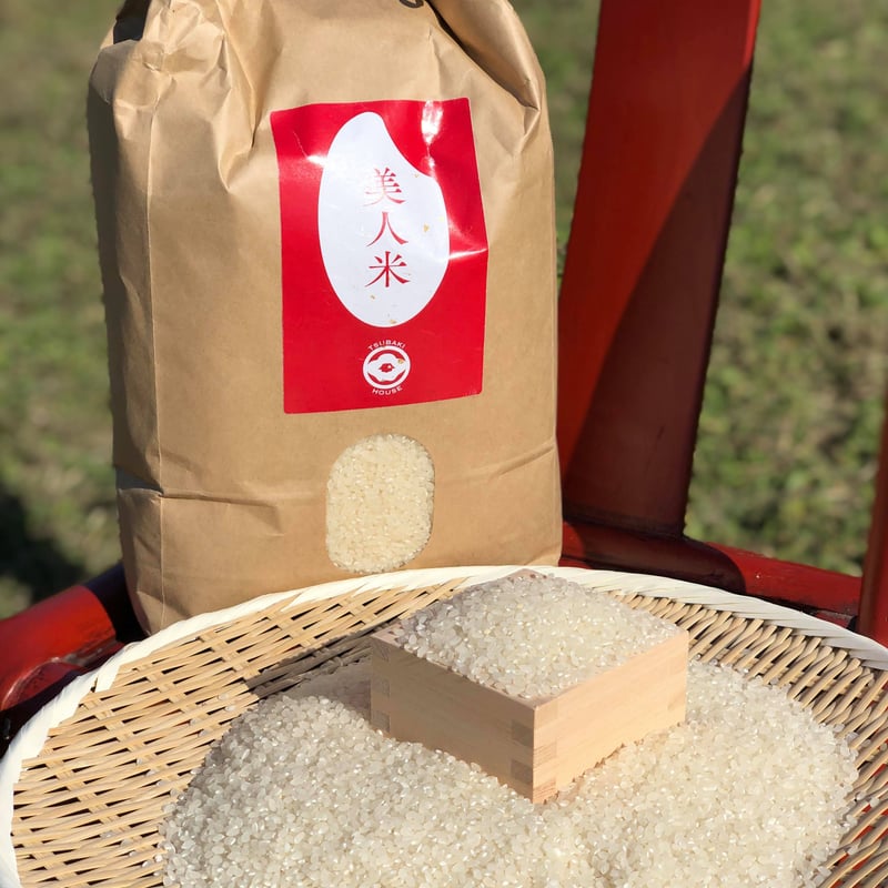 令和7年産：コシヒカリ【美人米】10kg 千葉県神崎町産 | 椿HOUSE