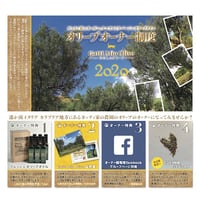 【椿セレクション】ガッティ家の農園:オリーブオーナー制度 Gatti Mio Olivo 2021