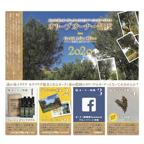【椿セレクション】ガッティ家の農園:オリーブオーナー制度 Gatti Mio Olivo 2021