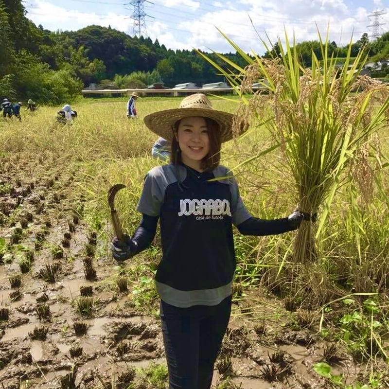 新米)令和6年産:コシヒカリ【美人米】玄米5kg 千葉県神崎町産 新米)令和6年産:コシヒカリ【美人米】玄米5kg 千葉県神崎町産
