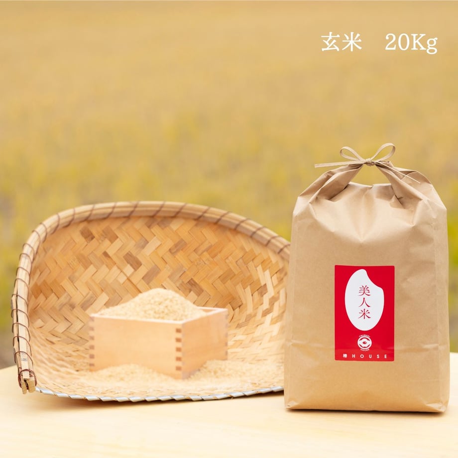67811b59a7ffd403ab451f43