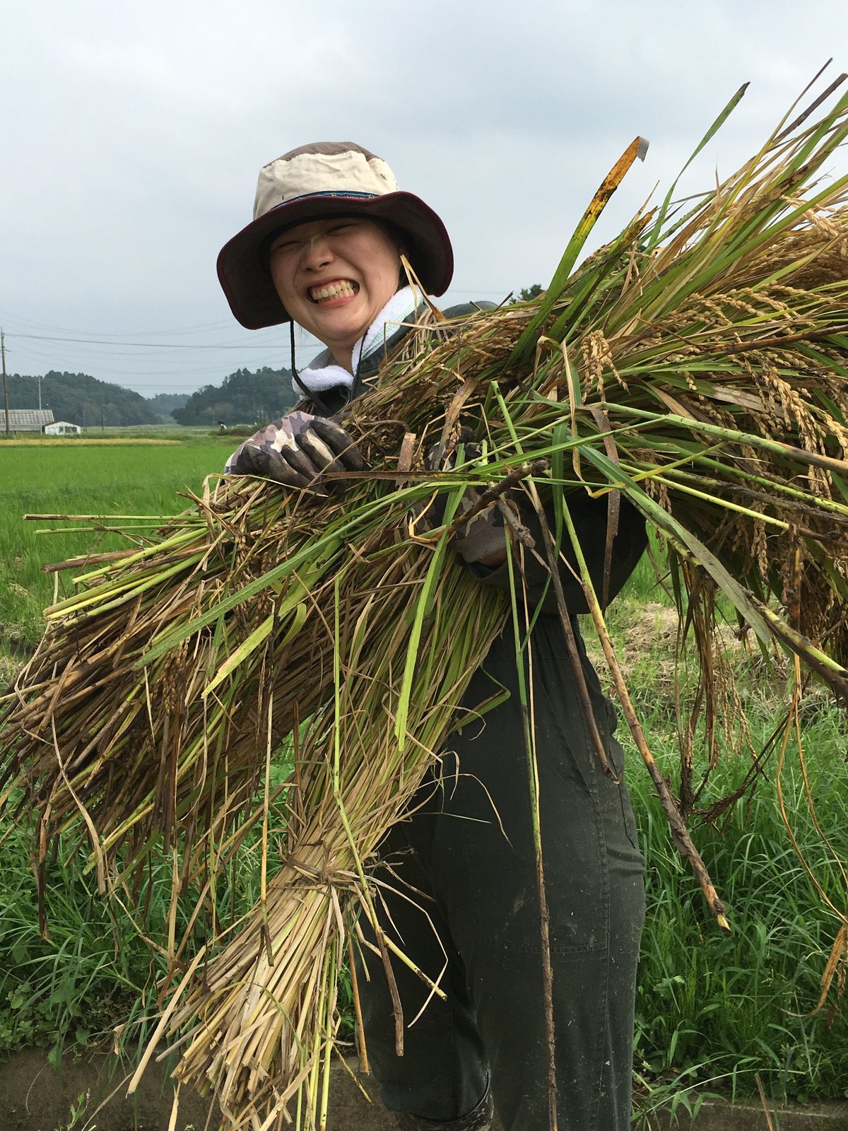 新米)令和6年産:コシヒカリ【美人米】玄米5kg 千葉県神崎町産 新米)令和6年産:コシヒカリ【美人米】玄米5kg 千葉県神崎町産