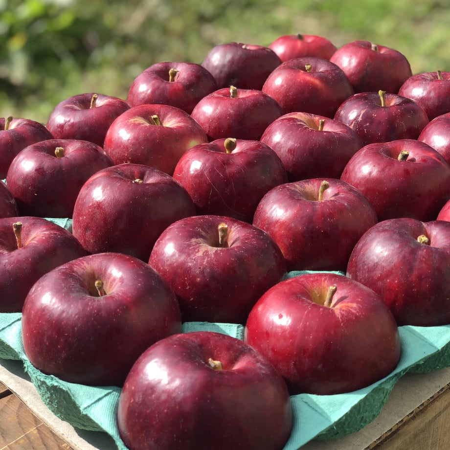 6adb4522545520621e7f331f