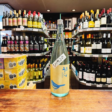新入荷アイテム | 大塚酒店