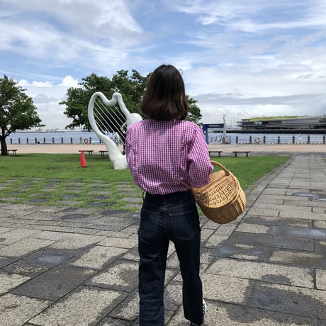 Heart button embroidery blouse