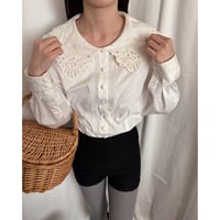 Vintage embroidery collar blouse