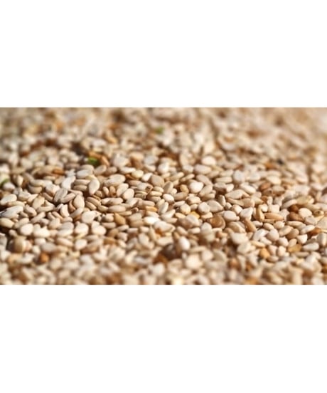 SOLSOL SESAME OIL
