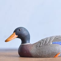 カナダヴィンテージ自然を感じる流木に 木彫り カモ オブジェ Grantins作 カナダ製 木製マガモオブジェ | 安濃古道具店
