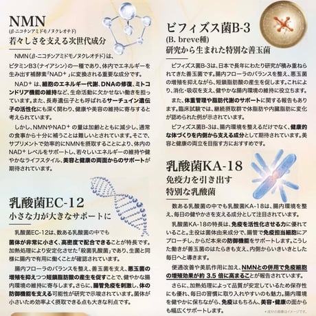 【最高峰】NMN renage®PLATINUM INFINITY POWER 24000 (善玉菌配合)