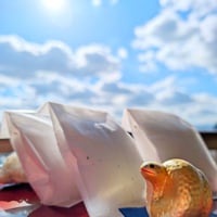 【３個限定のみ】秘境の新月御塩＆伊勢神宮（新春限定ゴールド巳の置物）