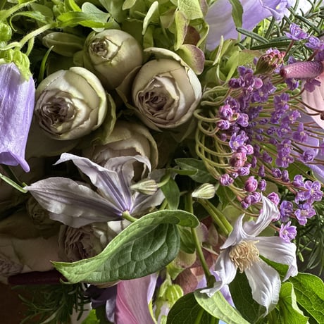 Fleur de PEU･CONNU【毎週or隔週の定期便】