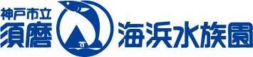 神戸市立須磨海浜水族園コーラルショップ
