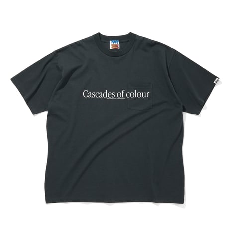 COTTON POCKET T-SHIRTS_Cascades of colour_C GRAY