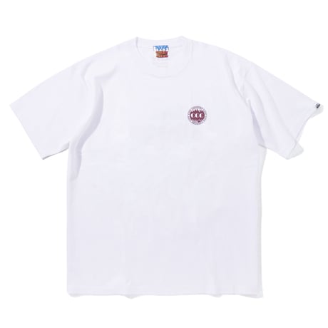 COTTON T-SHIRT_1318