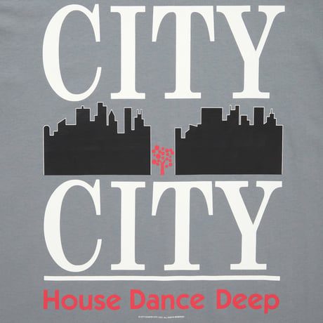 COTTON T-SHIRTS_CITY_CITY_C GRAY