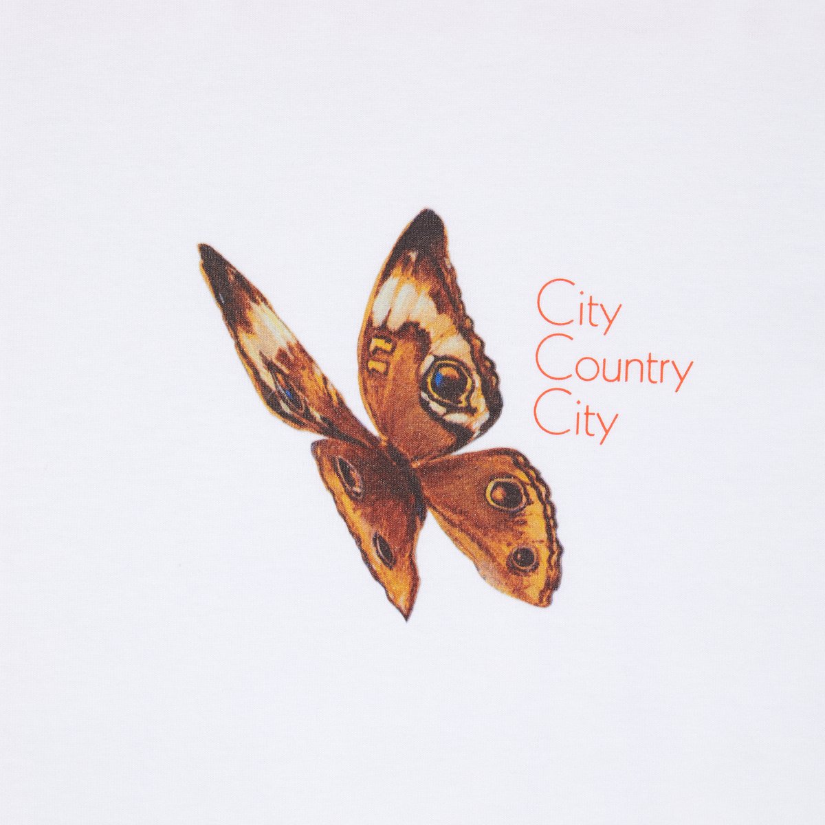 CITY COUNTRY CITY x LONNIE LISTON SMITH_COTTON 