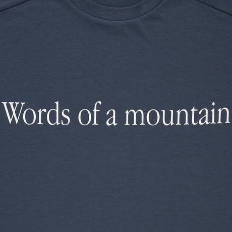 CITY COUNTRY CITYx Marmot_MMWCCC EVERYWHERE T-SHIRT_WORDS OF MOUNTAIN_BLUE