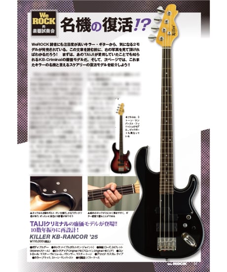 WeROCK 113