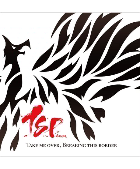 その他 Group Step Spring09 CD&DVD Springtime (2004, DVD) Special Edition Korean English Subs