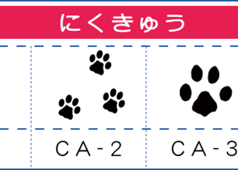 ガラス表札 送料無料 ステンレス裏板付き ネコ サンドブラスト ねこ